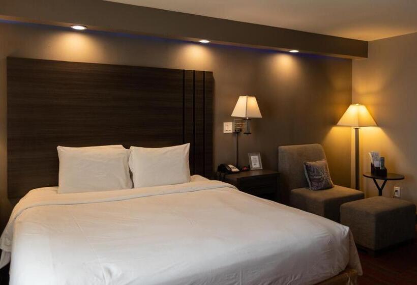 فندق Greentree Inn & Suites Los Angeles   Alhambra   Pasadena