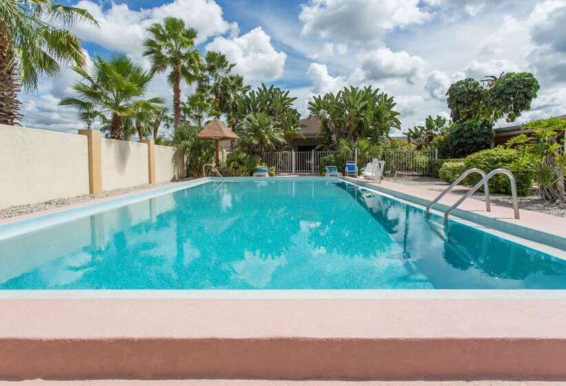 בית מלון כפרי Knights Inn Arcadia