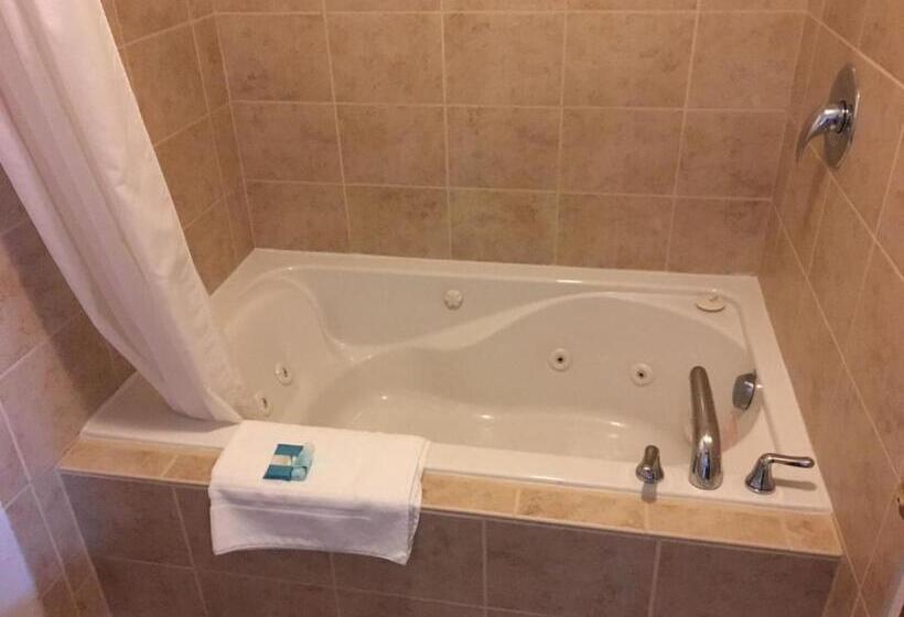 فندق Lupine Inn