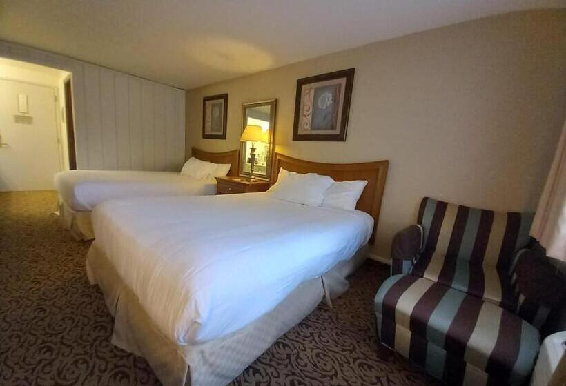 فندق Lupine Inn