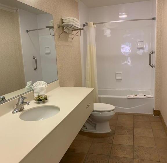 فندق Olive Tree Inn & Suites