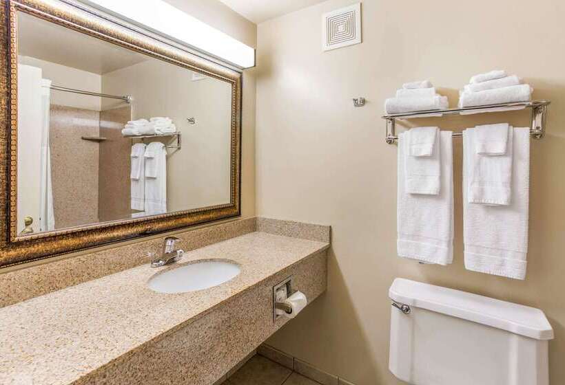 酒店 Quality Inn & Suites Downtown