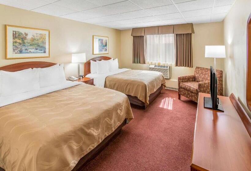 酒店 Quality Inn & Suites Downtown