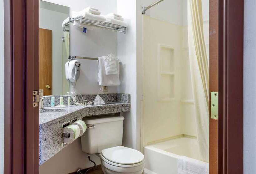 酒店 Quality Inn & Suites