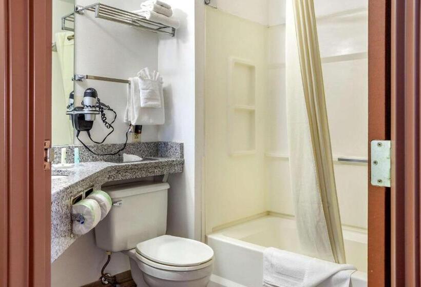 酒店 Quality Inn & Suites