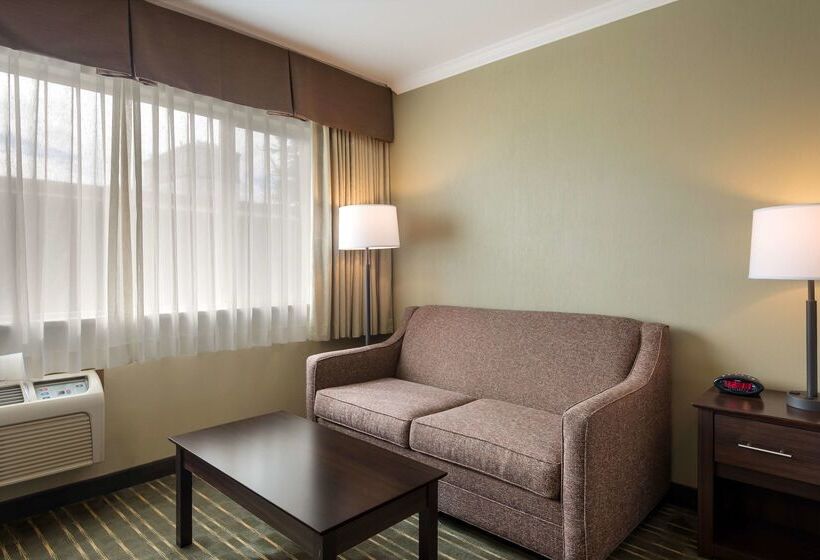 فندق على الطريق Best Western Holiday