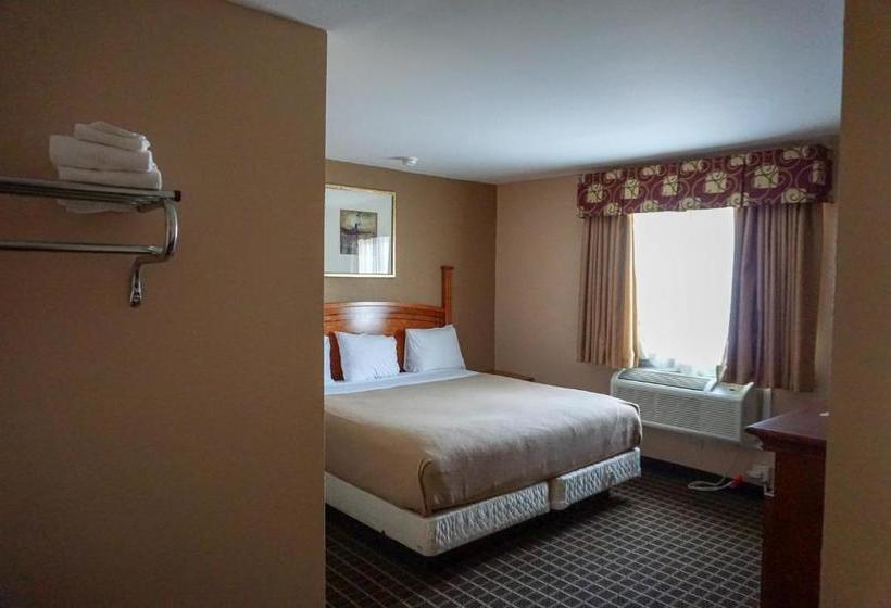 汽车旅馆  Budgetel Inn Glen Ellyn
