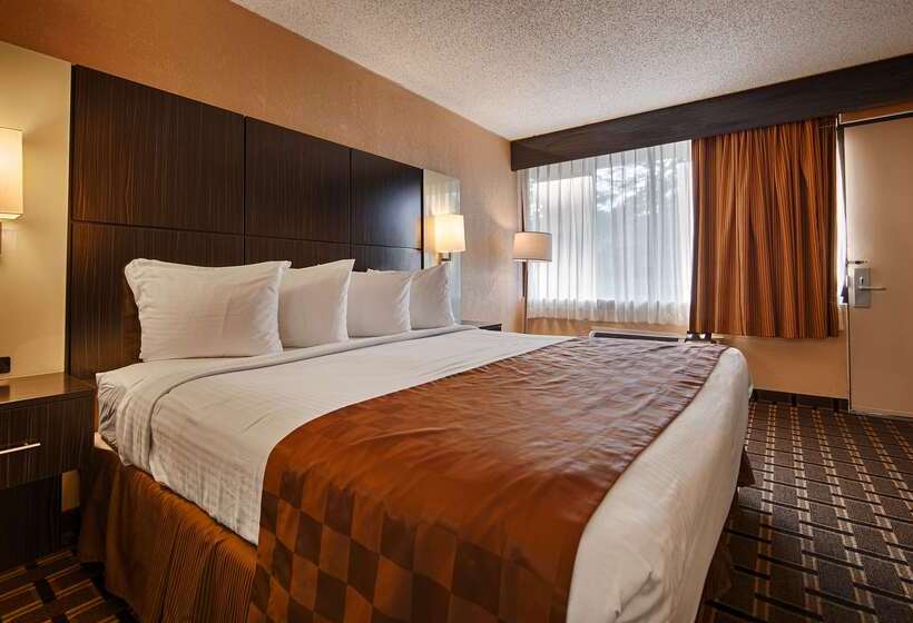 호텔 Best Western Executive Inn