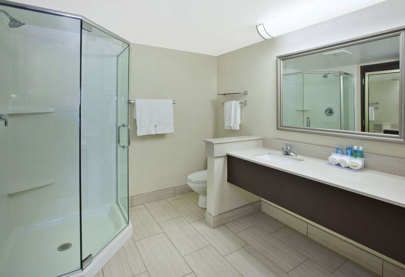 Best Western Okemos/east Lansing Hotel & Suites