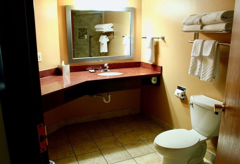 هتل Best Western Plus Dakota Ridge