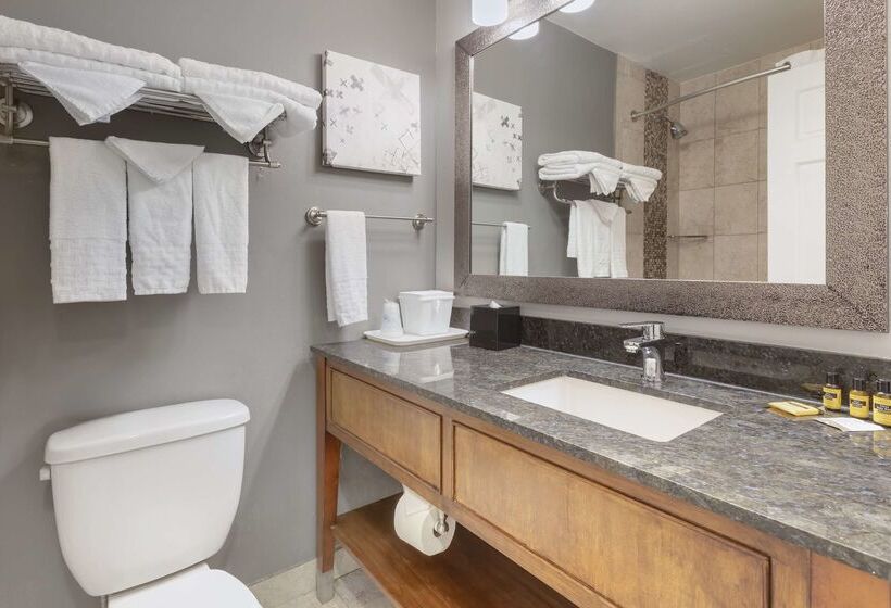 هتل Best Western Plus Milwaukee West