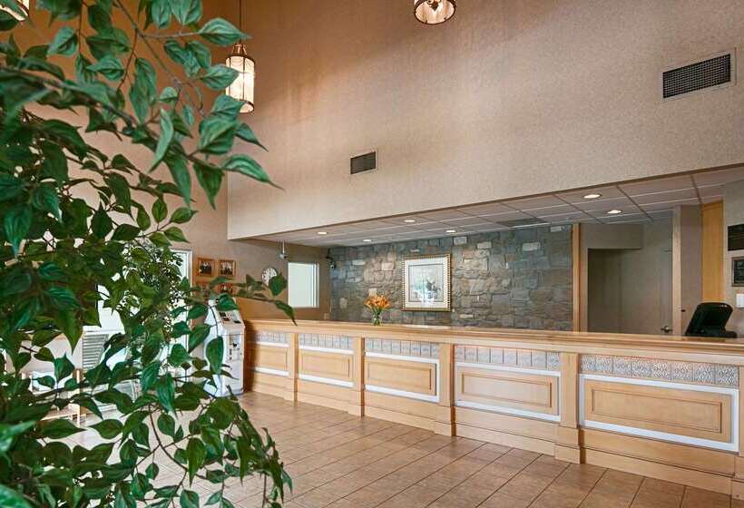 ホテル Best Western Plus Revere Inn & Suites