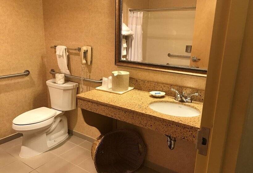 ホテル Best Western Plus Revere Inn & Suites