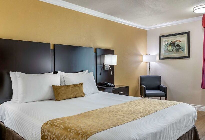 酒店 Best Western Plus South Bay
