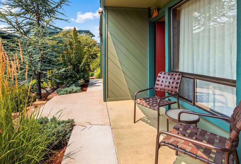 Отель Best Western Plus Tree House