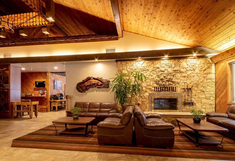 Отель Best Western Plus Tree House