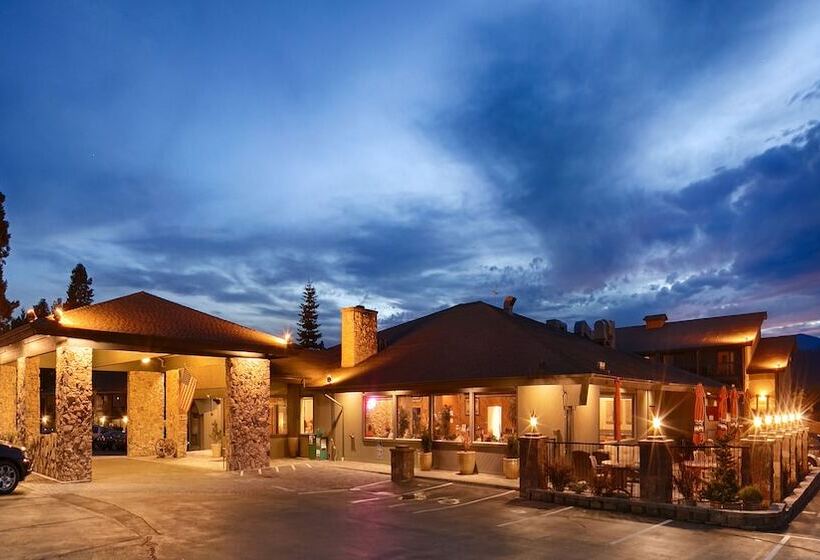 Отель Best Western Plus Tree House