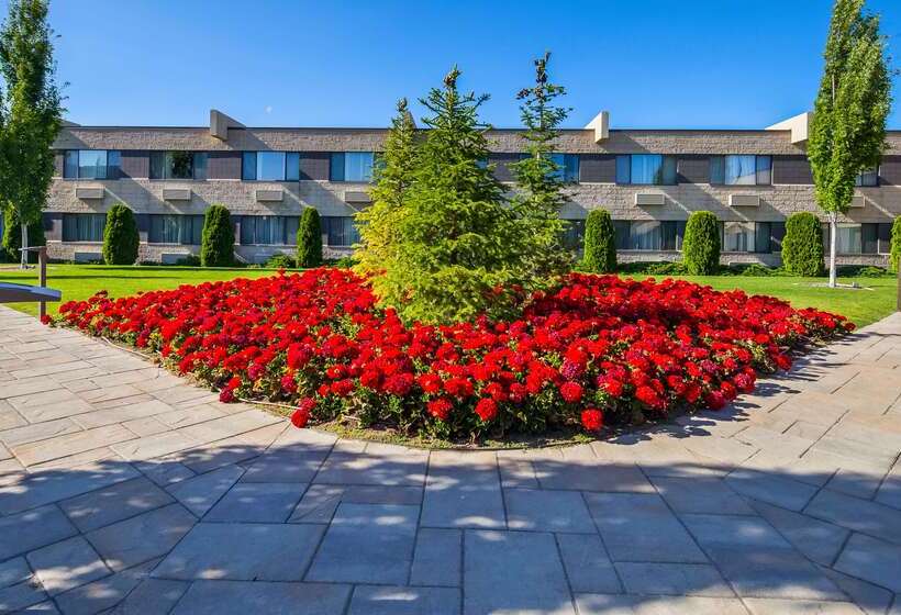 فندق Best Western Plus University Inn