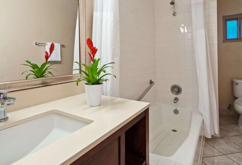 فندق Best Western Royal Palace Inn & Suites