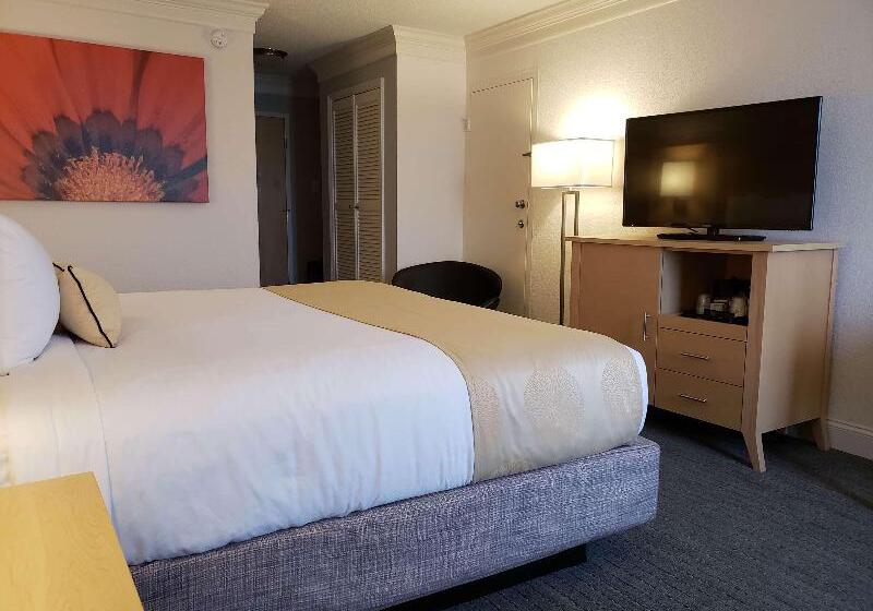 호텔 Best Western Skyline Motor Lodge