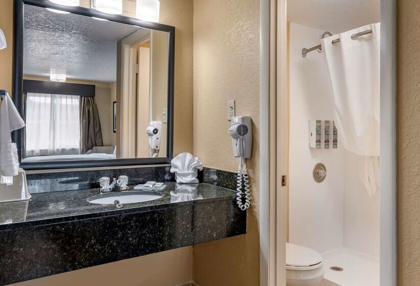 Отель Best Western Space Shuttle Inn