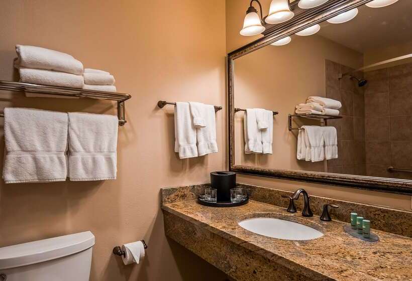 בית מלון כפרי Best Western Tyrolean Lodge