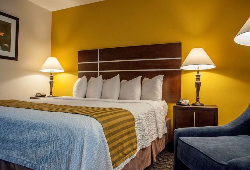 هتل Best Western Village Inn