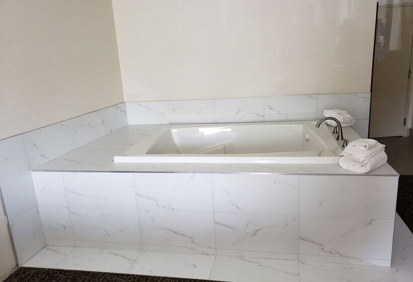 فندق Chicago Club Inn & Suite