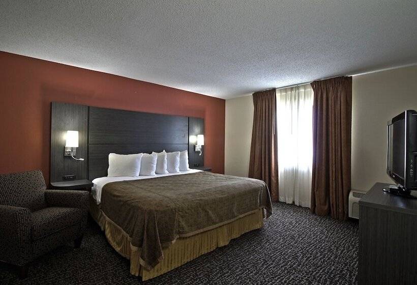 فندق Chicago Club Inn & Suite
