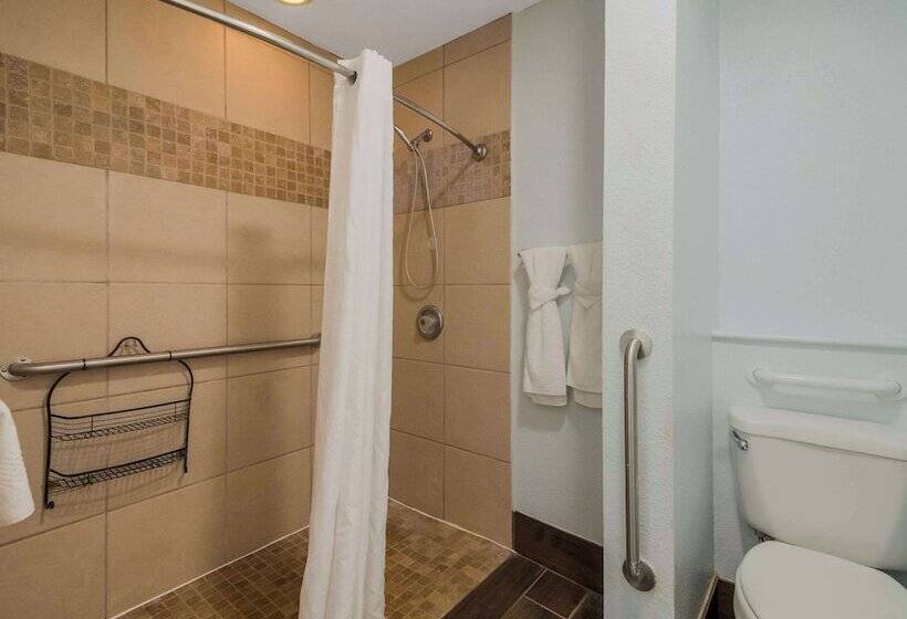 هتل Econo Lodge Inn & Suites Fulton  Rockport