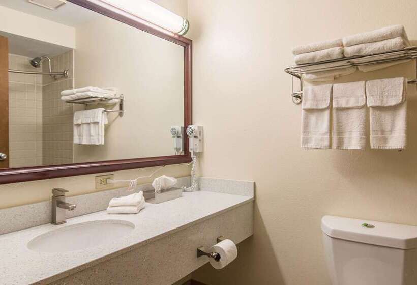 ホテル Quality Inn