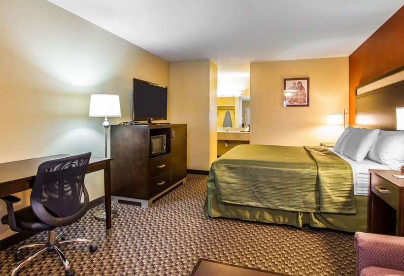 酒店 Quality Inn Holbrook Near Petrified Forest
