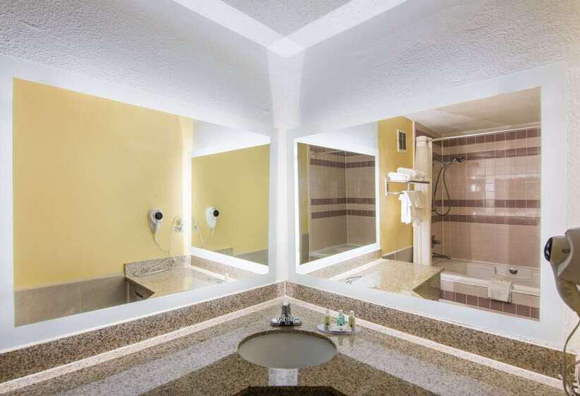 ホテル Quality Inn