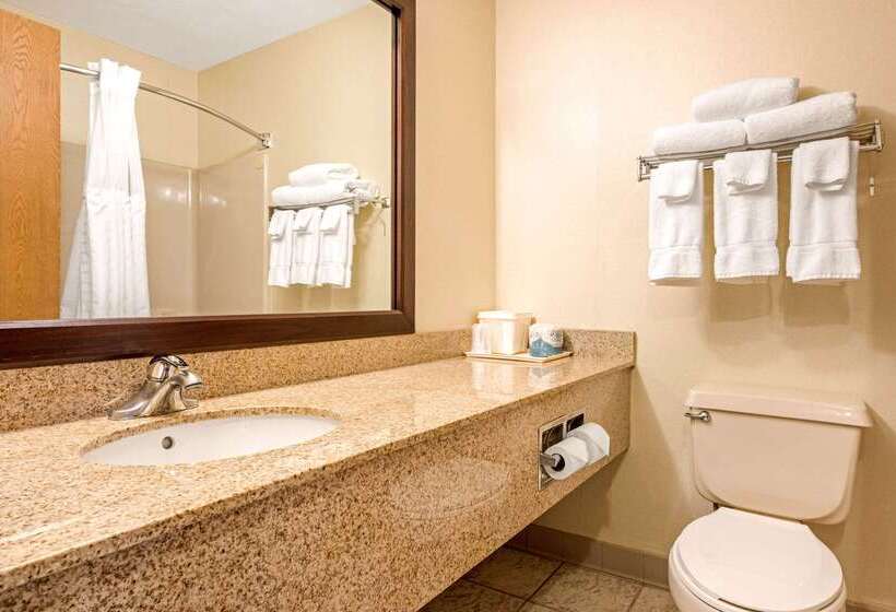 ホテル Quality Inn & Suites New Castle