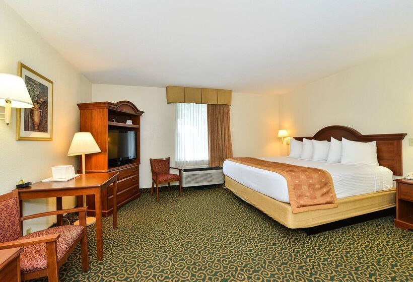 בית מלון כפרי Deluxe Inn Wytheville