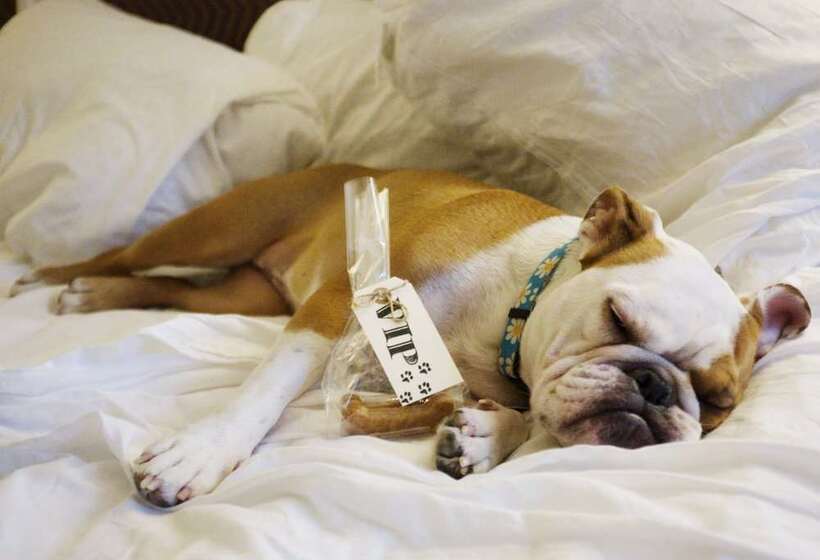 The Allegro Royal Sonesta Hotel Chicago Loop