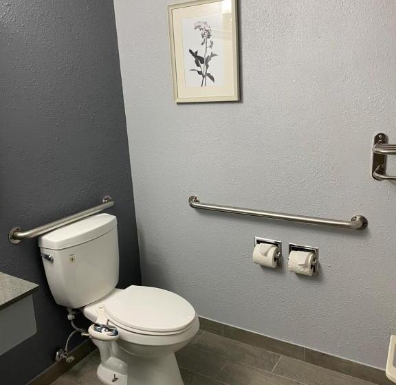 هتل American Inn Cedar Rapids South