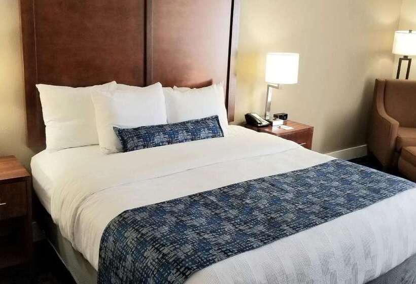 호텔 Best Western Plus Greenville I385 Inn & Suites
