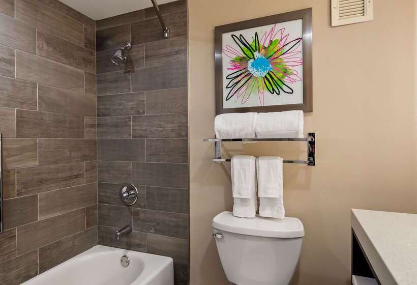 호텔 Best Western Plus Greenville I385 Inn & Suites