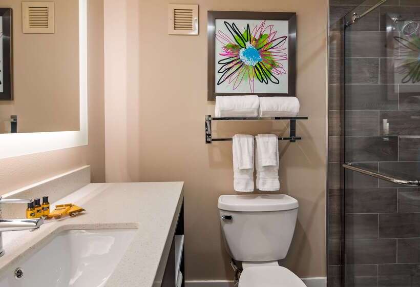 호텔 Best Western Plus Greenville I385 Inn & Suites