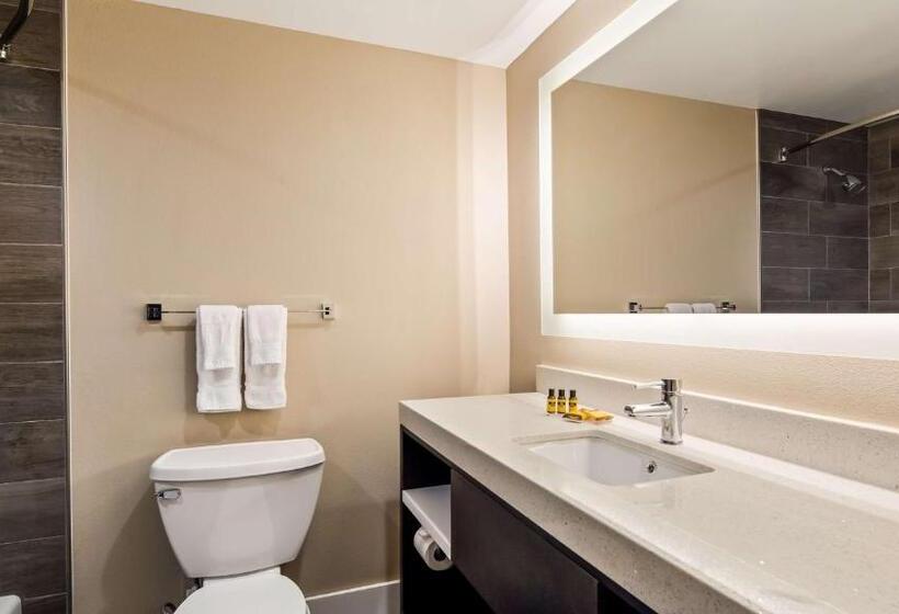 호텔 Best Western Plus Greenville I385 Inn & Suites