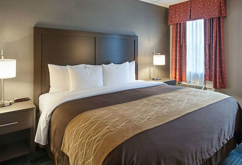 هتل Comfort Inn Ballston