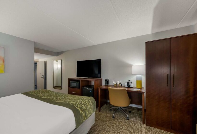هتل Comfort Inn Newport News  Hampton I64