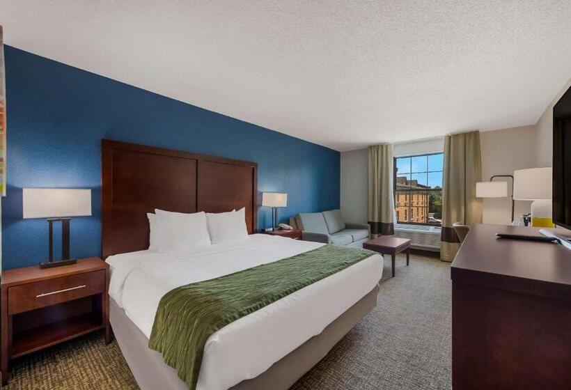 هتل Comfort Inn Newport News  Hampton I64