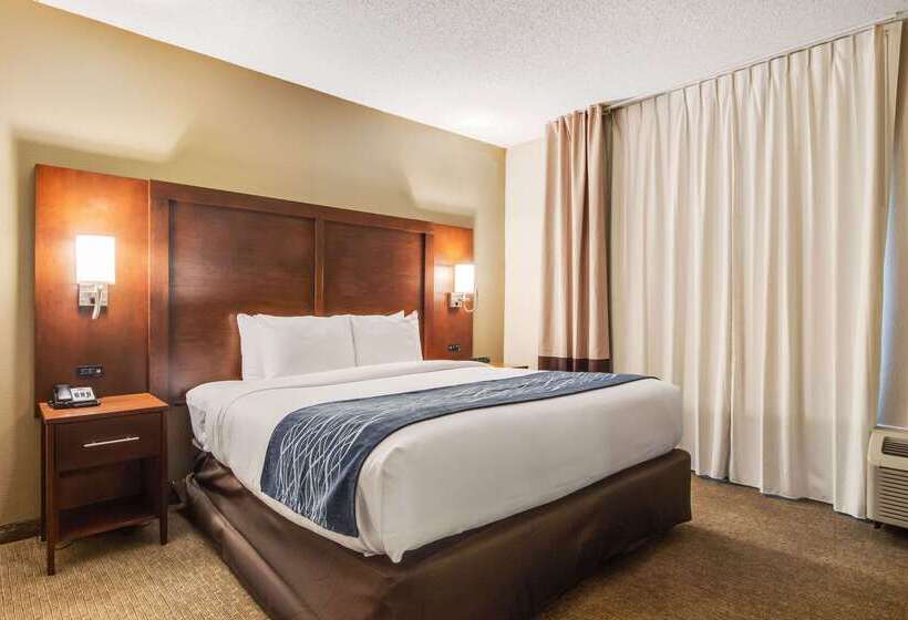 فندق Comfort Inn Roswelldunwoody