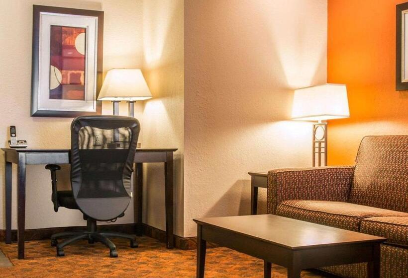 酒店 Comfort Inn & Suites And Conference Center