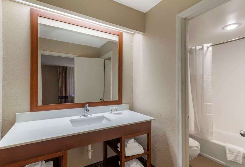 هتل Comfort Inn & Suites  Near Robins Air Force Base Main Gate