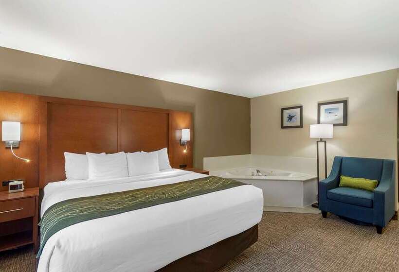 هتل Comfort Inn & Suites  Near Robins Air Force Base Main Gate