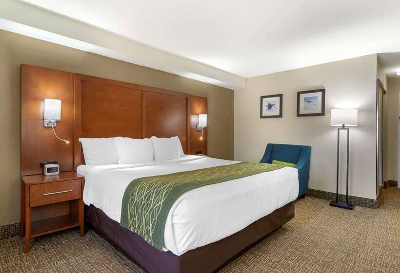 هتل Comfort Inn & Suites  Near Robins Air Force Base Main Gate