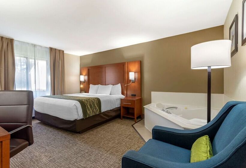 هتل Comfort Inn & Suites  Near Robins Air Force Base Main Gate